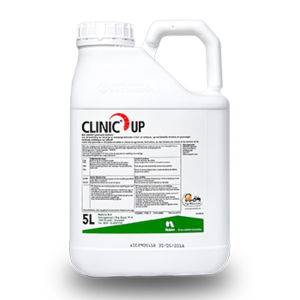 CLINUP5