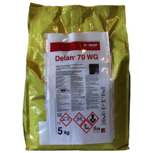 DELWG5