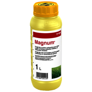 MAGNUM1