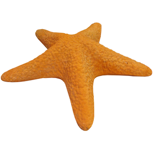 TCZEE